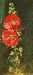 Stockrose, 1827